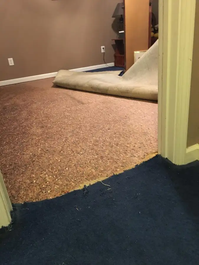 Carpet pad removal revealing water damage during Water Mitigation Services in Silver Lake