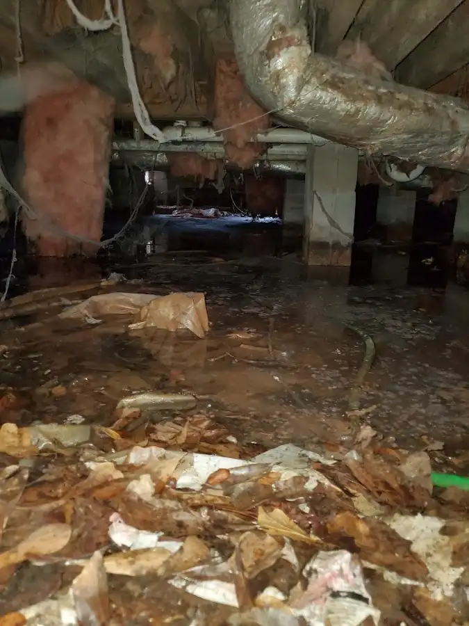 Crawl space flood assessment for Commercial Water Damage Restoration in Silver Lake